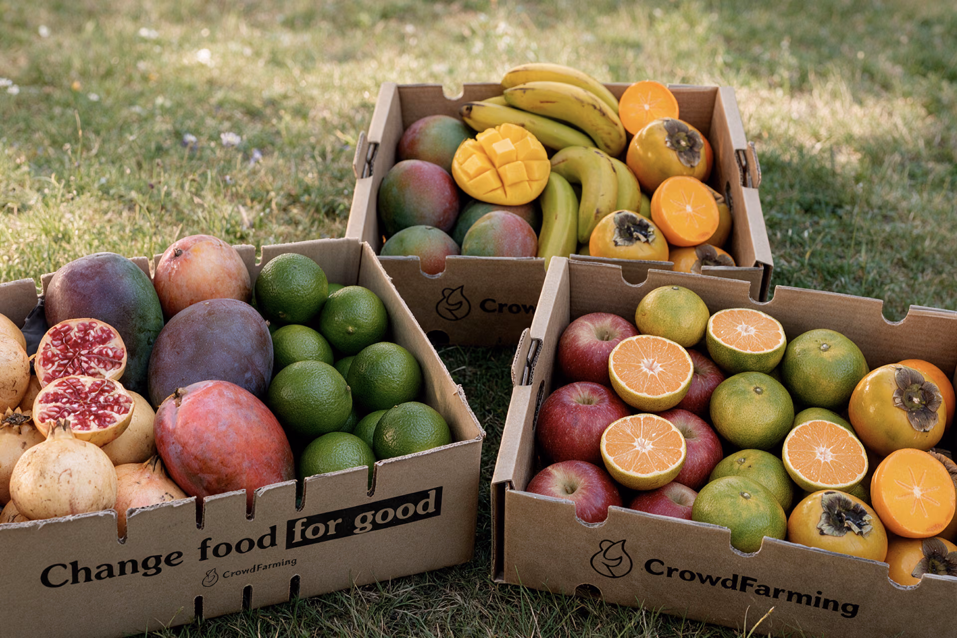 Caisse mixte de fruits BIO