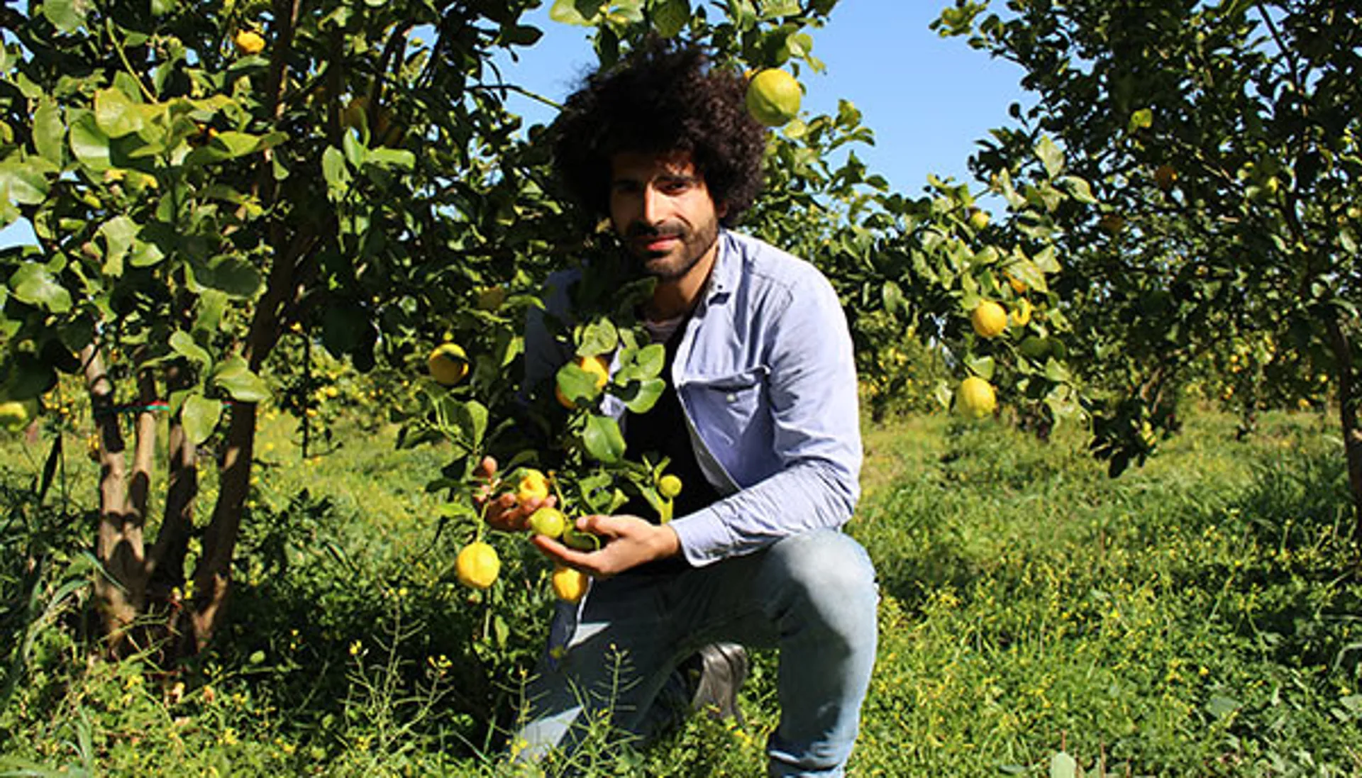 crowdfarming-farm-fresh-food-directly-from-the-farmer