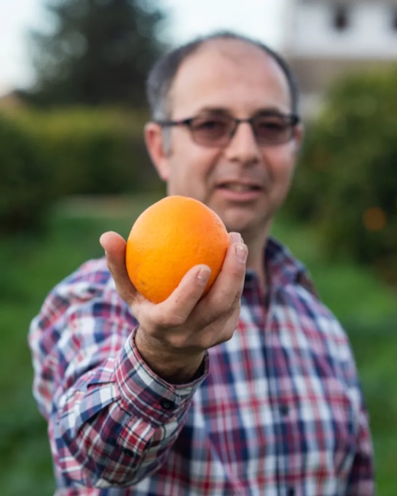 Bio-Orangen von Hort de Bitem, Spanien | CrowdFarming: Saisonales Obst ...