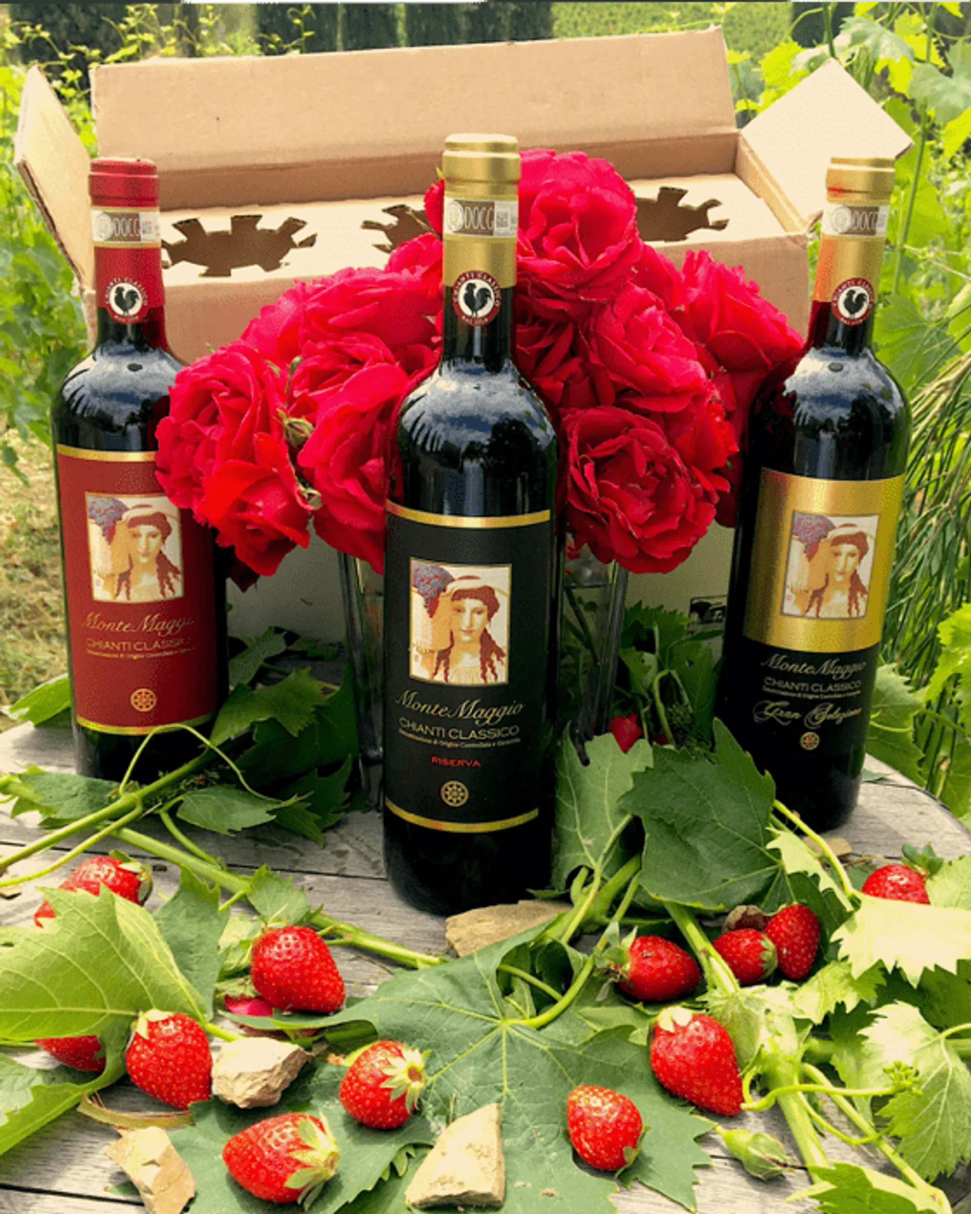 Vin rouge BIO Chianti Sangiovese DOCG Toscana de Montemaggio, Italie