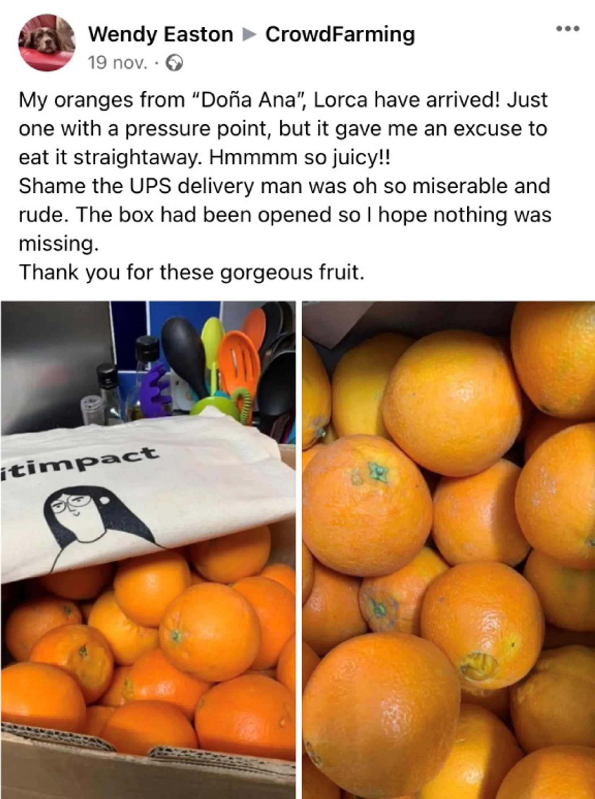 Seasonal Oranges CrowdFarming