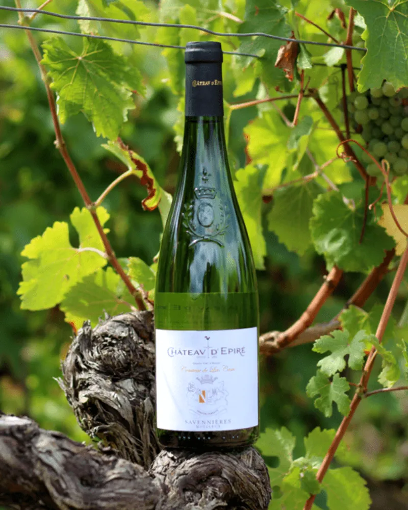 Weißwein Chenin AOC Savennières Frankreich von Château d&amp;#39;Epiré ...