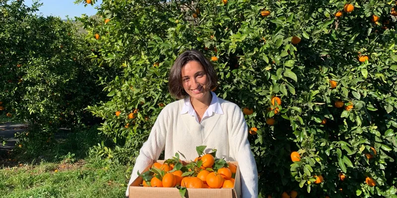 organic Orri tangerines