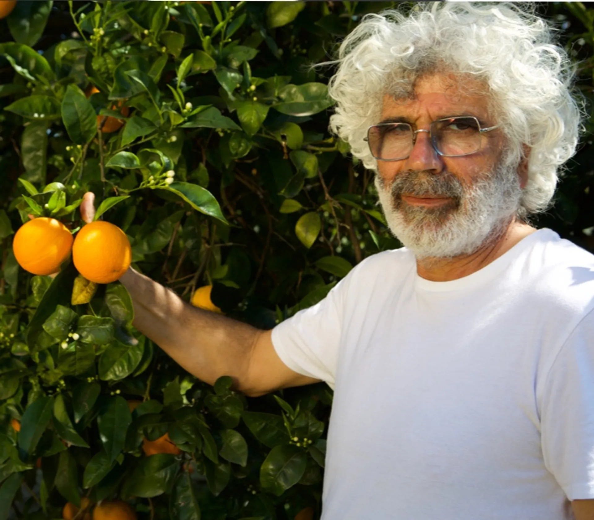 Bio-Orangen von Bio Agrumi Monasteri, Italien  CrowdFarming: Saisonales  Obst und Gemüse liefern lassen