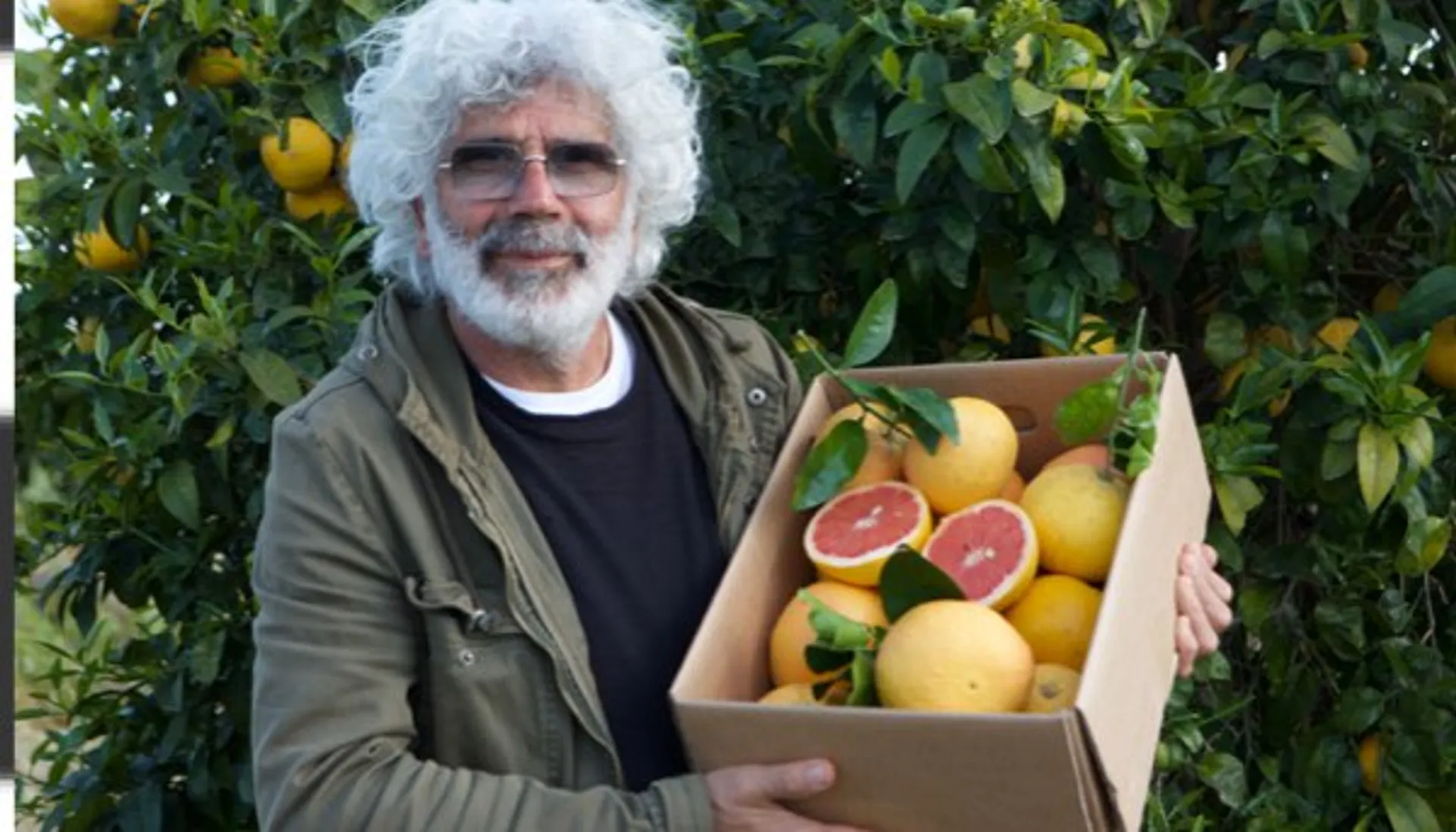 Erntefrische Zitrusfrüchte direkt vom Feld