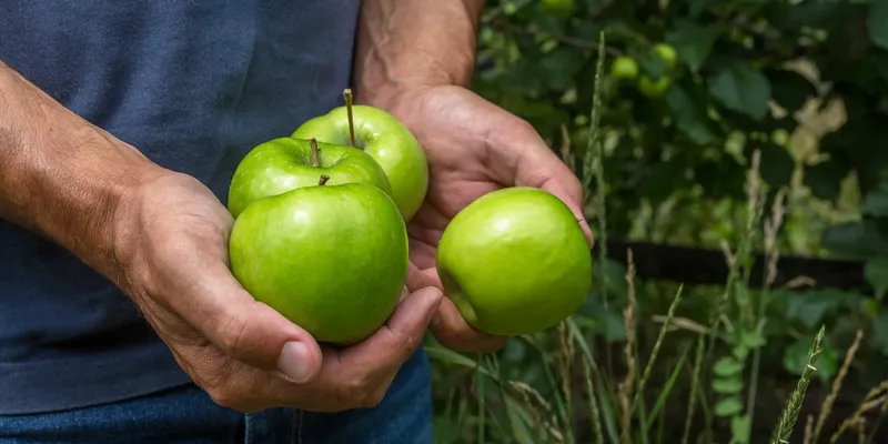 Organic Apples 'Story®' from Frnace