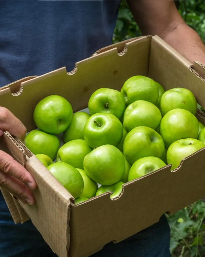 Fresh Organic Granny Smith Apples - Shop Apples at H-E-B