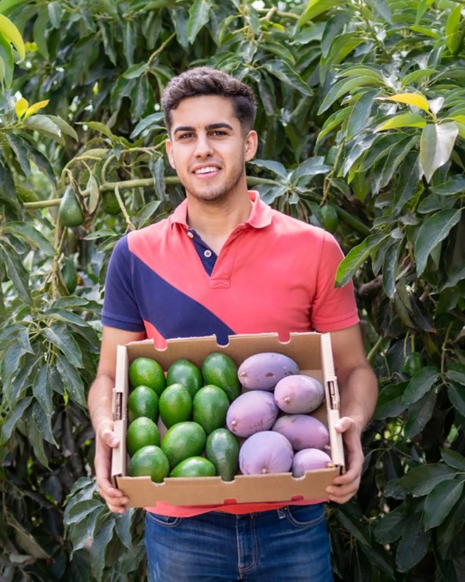 Mangos And Avocados Fr n Hacienda Altos De Cantarrij n Spanien 