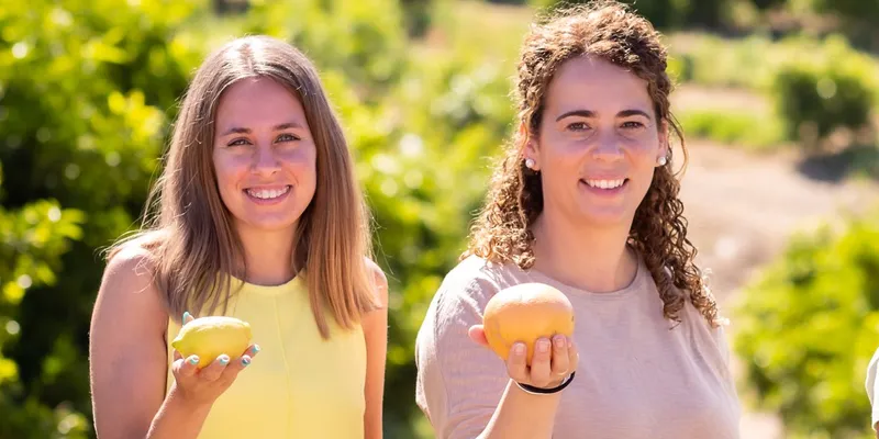 Bio-Zitronen und Grapefruits