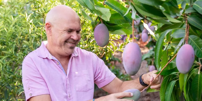 organic mangos and early avocados