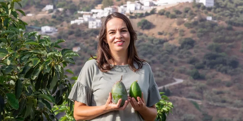 organic mangoes and avocados