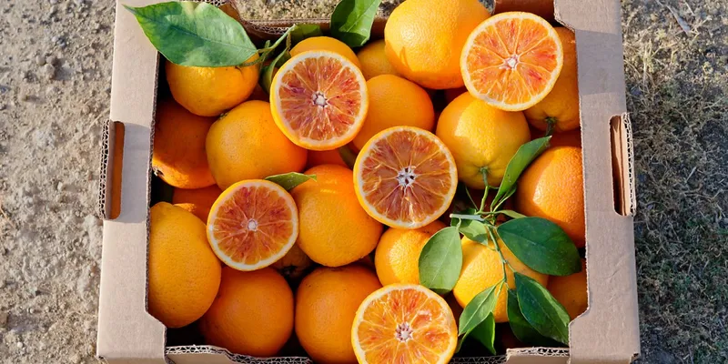 Organic blood oranges PGI Tarocco from Oroverde, Italy | CrowdFarming ...