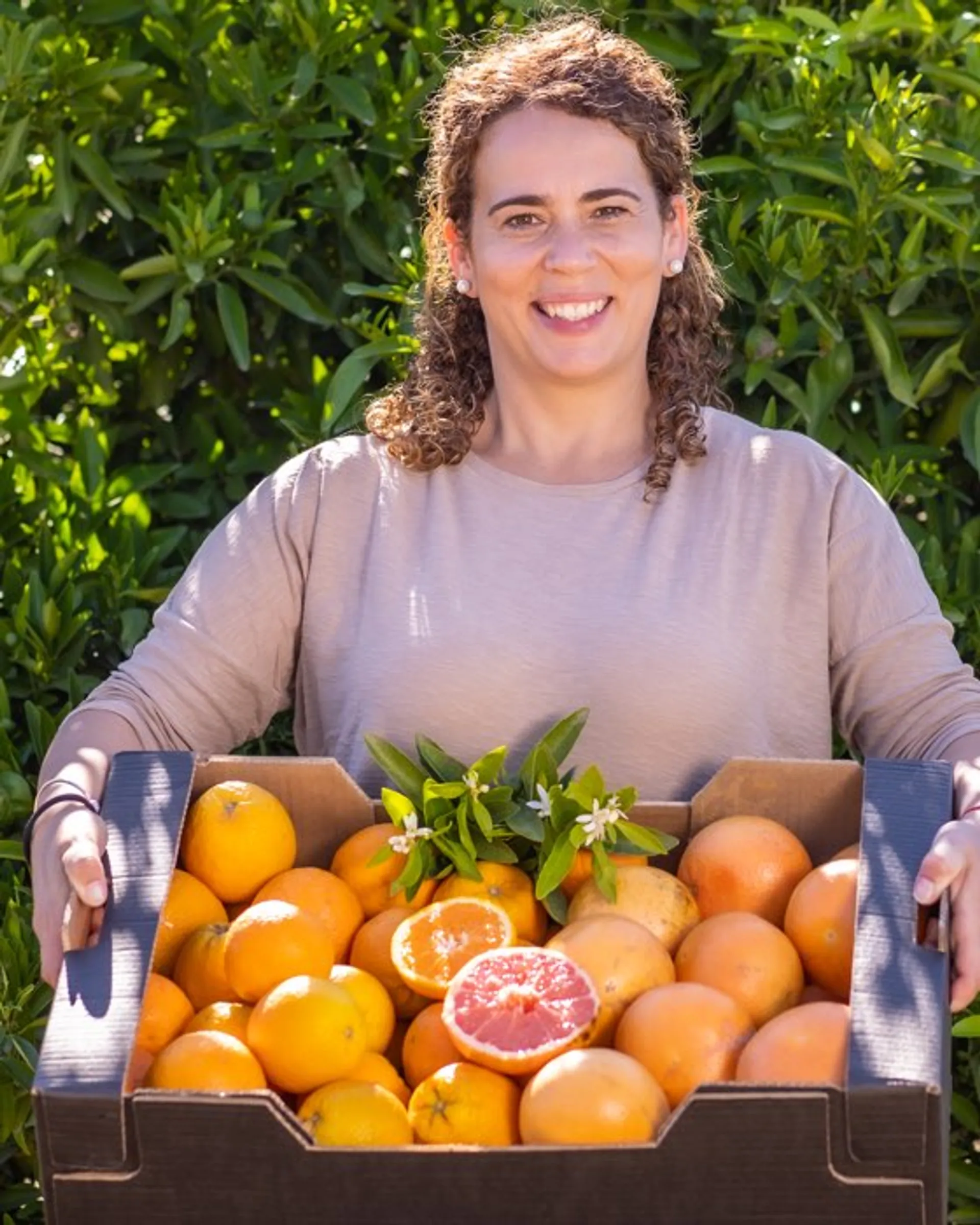 Organic Oranges And Grapefruits From Cortijo La Palmosa Spain