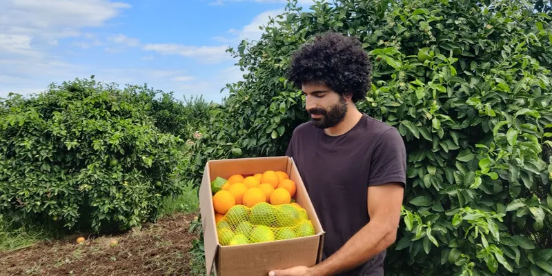 ekologiska apelsiner och citroner