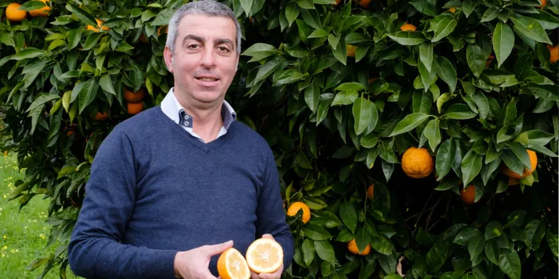 organic bitter oranges