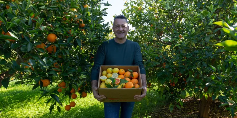 naranjas sanguinas de IGP Sicilia y limones ecológicos