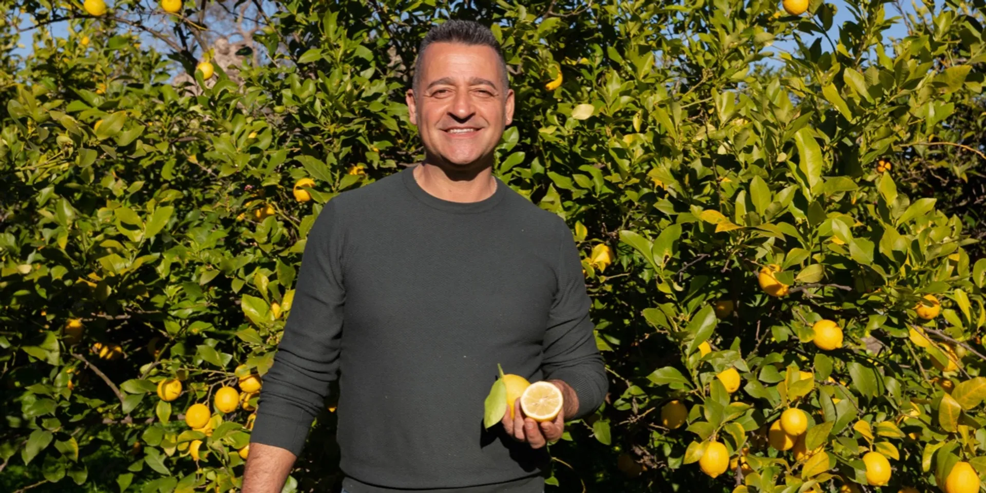 Biologische citroenen Italië | CrowdFarming: adopteer een citroenboom