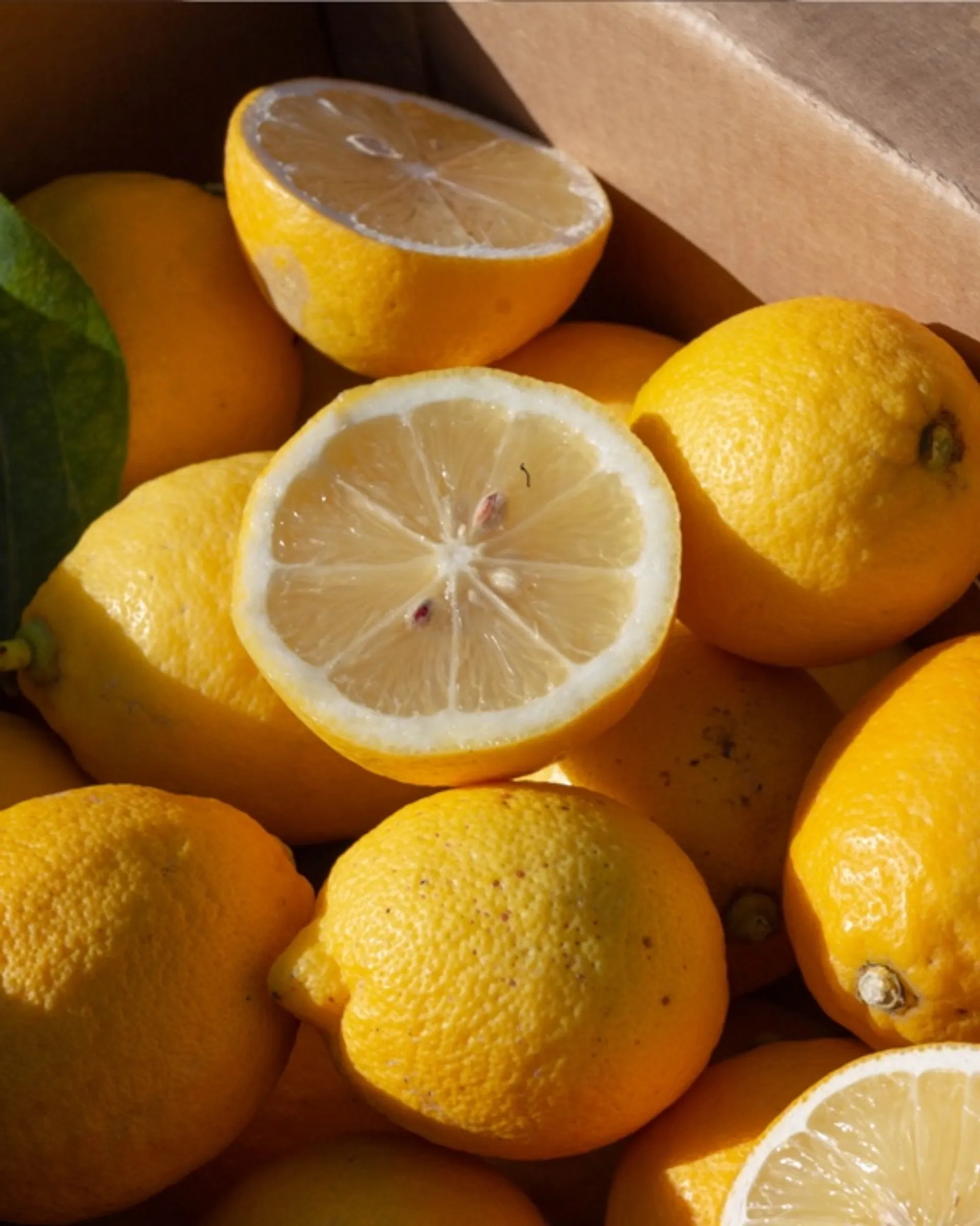 Spanning mineraal Realistisch Biologische citroenen van Arancebio, Italië | CrowdFarming: groenten en  fruit vers van de boerderij aan je deur geleverd