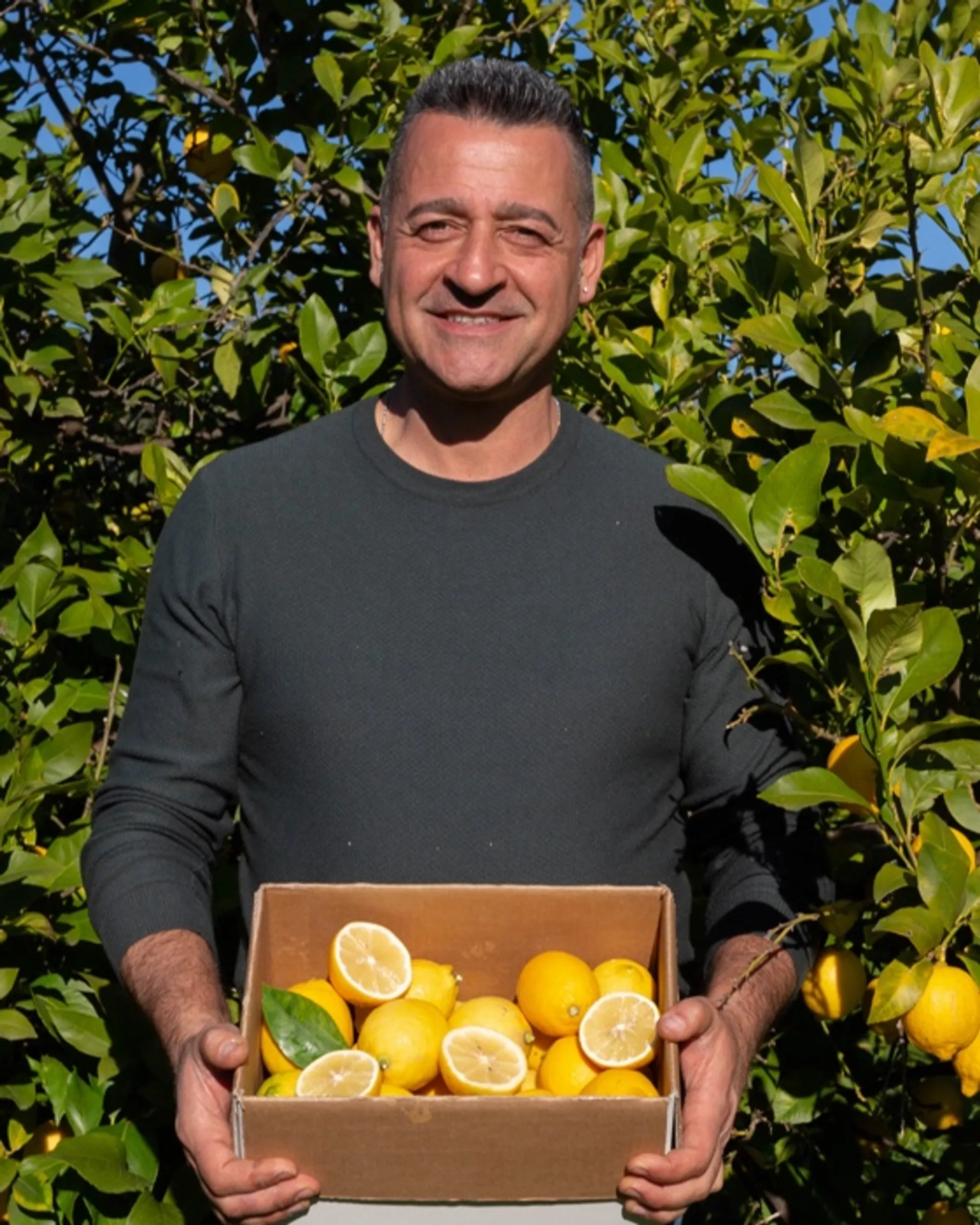 Biologische citroenen van Arancebio, | CrowdFarming: groenten en vers van de boerderij aan je deur geleverd