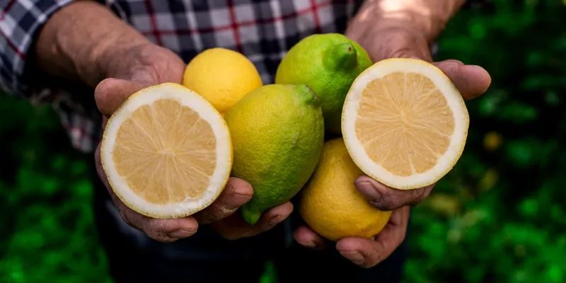 Engrais bio pour fruitier, citronnier Biotaurus
