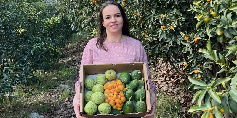 cirimoia, avocado e kumquats bilogici