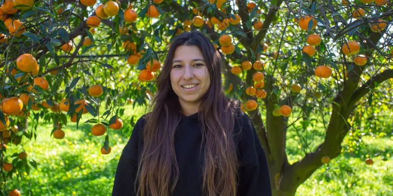 organic mandarins