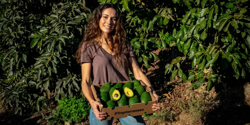 organic avocados