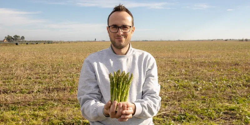 organic green asparagus