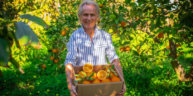 Demeter organic oranges