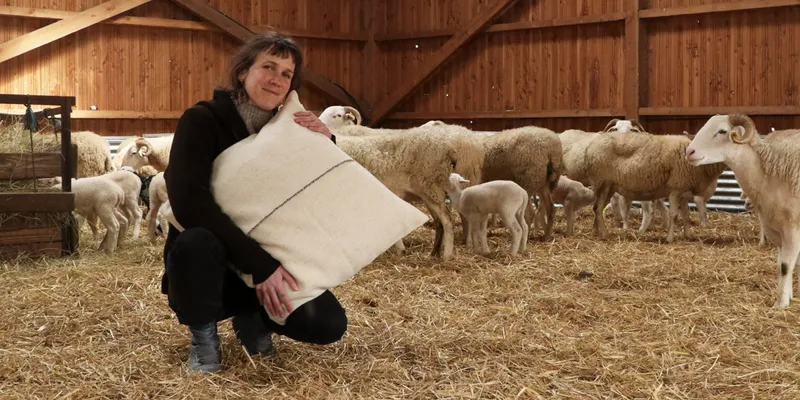 organic wool pillowcase