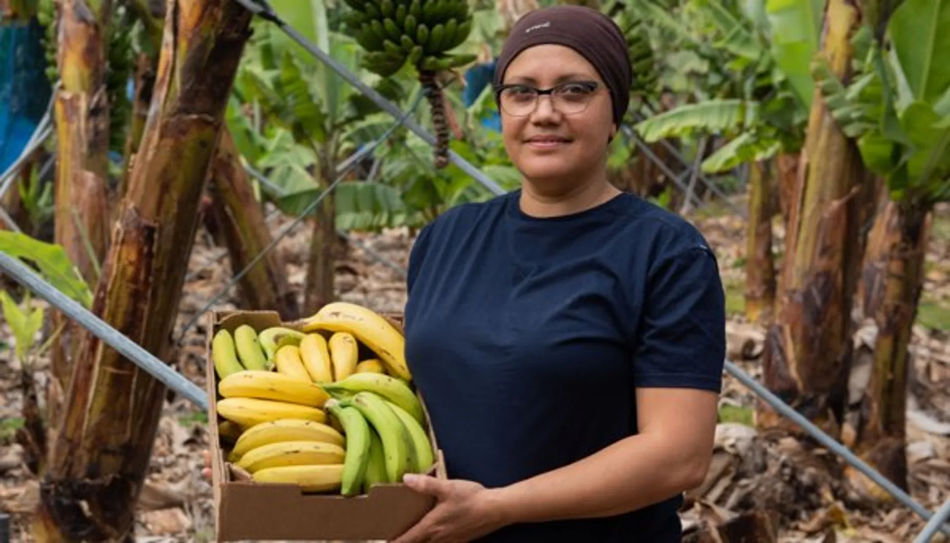 CrowdFarming | Farm fresh food directly from the farmer