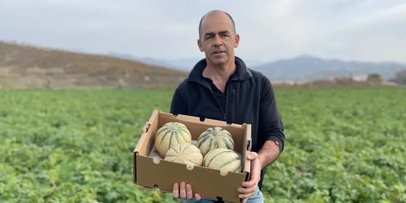 Naturland organic melons