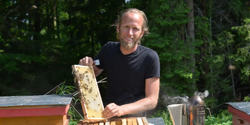 Bio-Honig und Bienenwachsprodukte