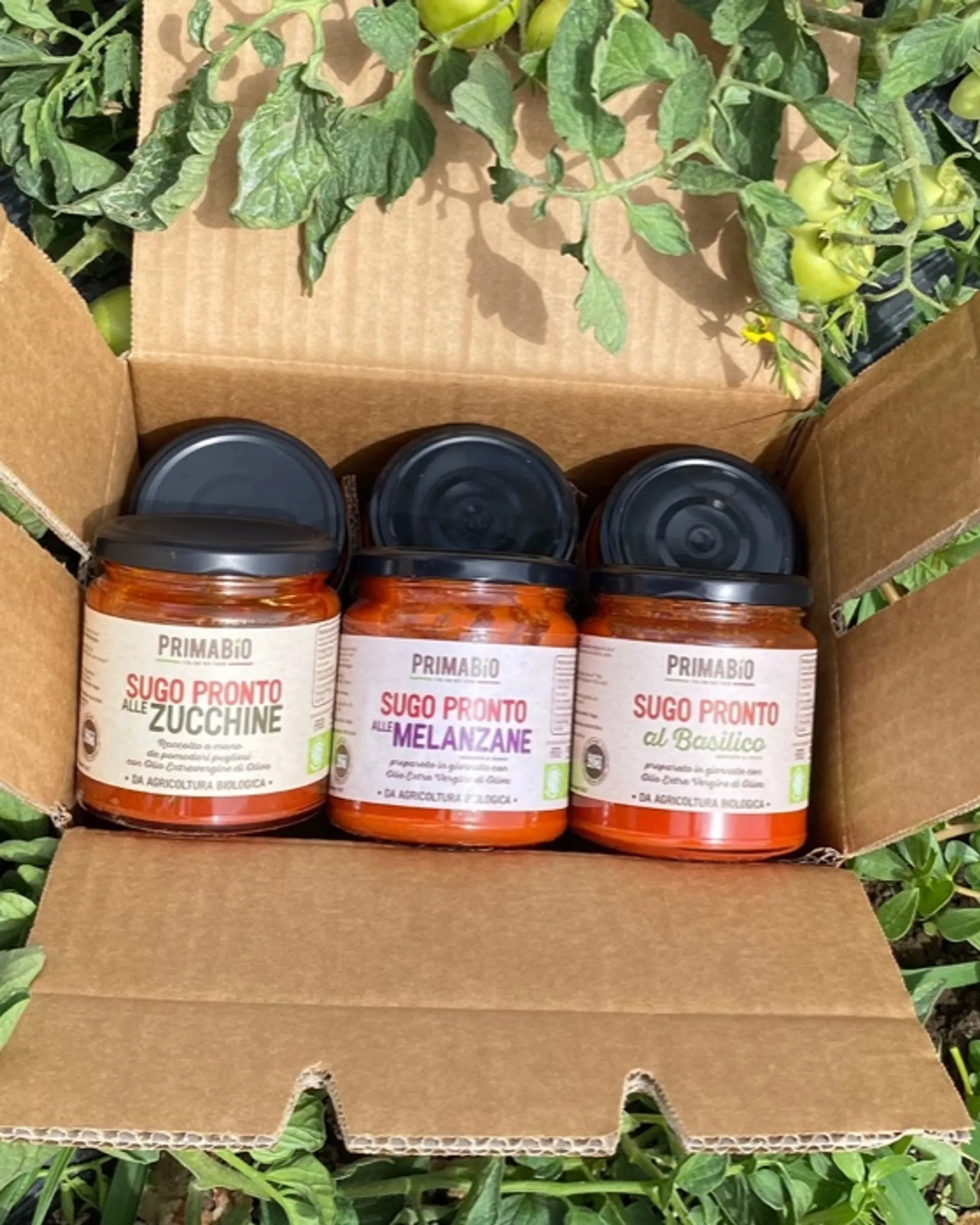 Organic tomato sauces with vegetables from Prima Bio, Italy