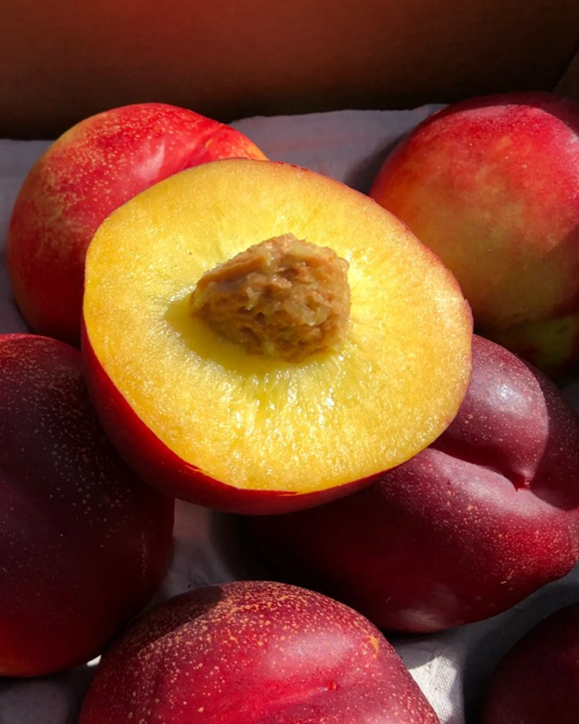 organic-nectarines-from-know-jou-bio-spain-crowdfarming-farm-fresh