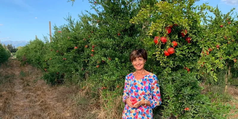 organic pomegranates