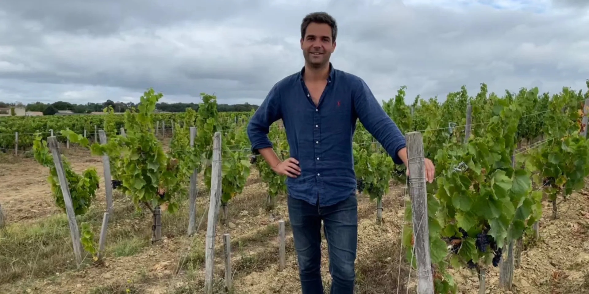 Assortment of red wines from Bordeaux from Château LamotheCissac