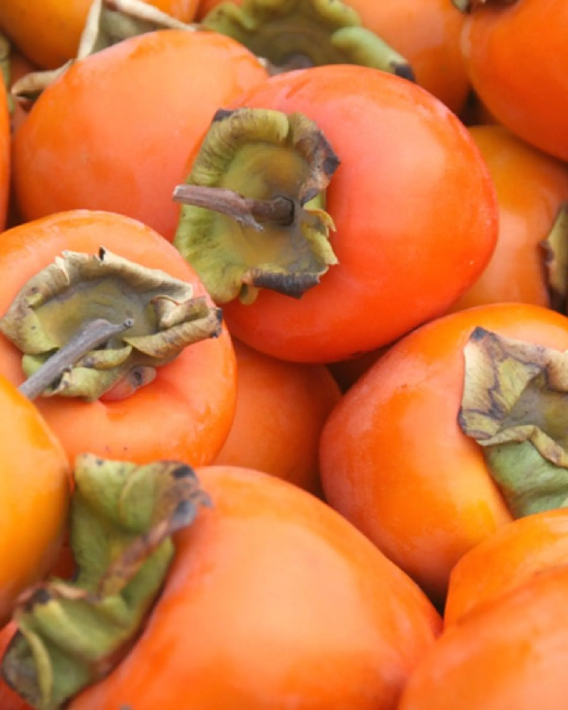 Kakis BIO de Finca JelanisolMontebelo, Espagne CrowdFarming fruits et légumes frais à domicile