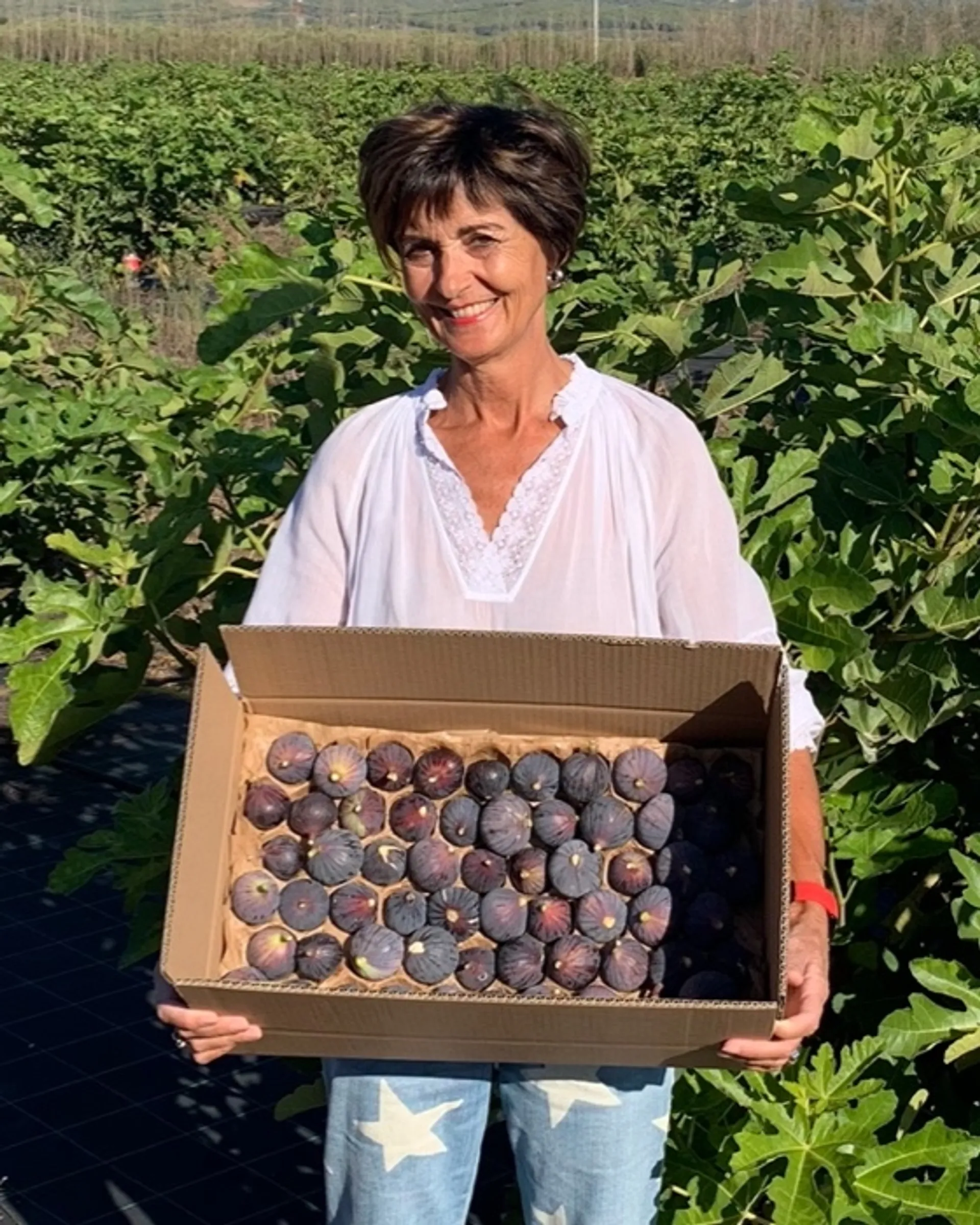 Organic black figs from Le Verger Bio de Véronique, France
