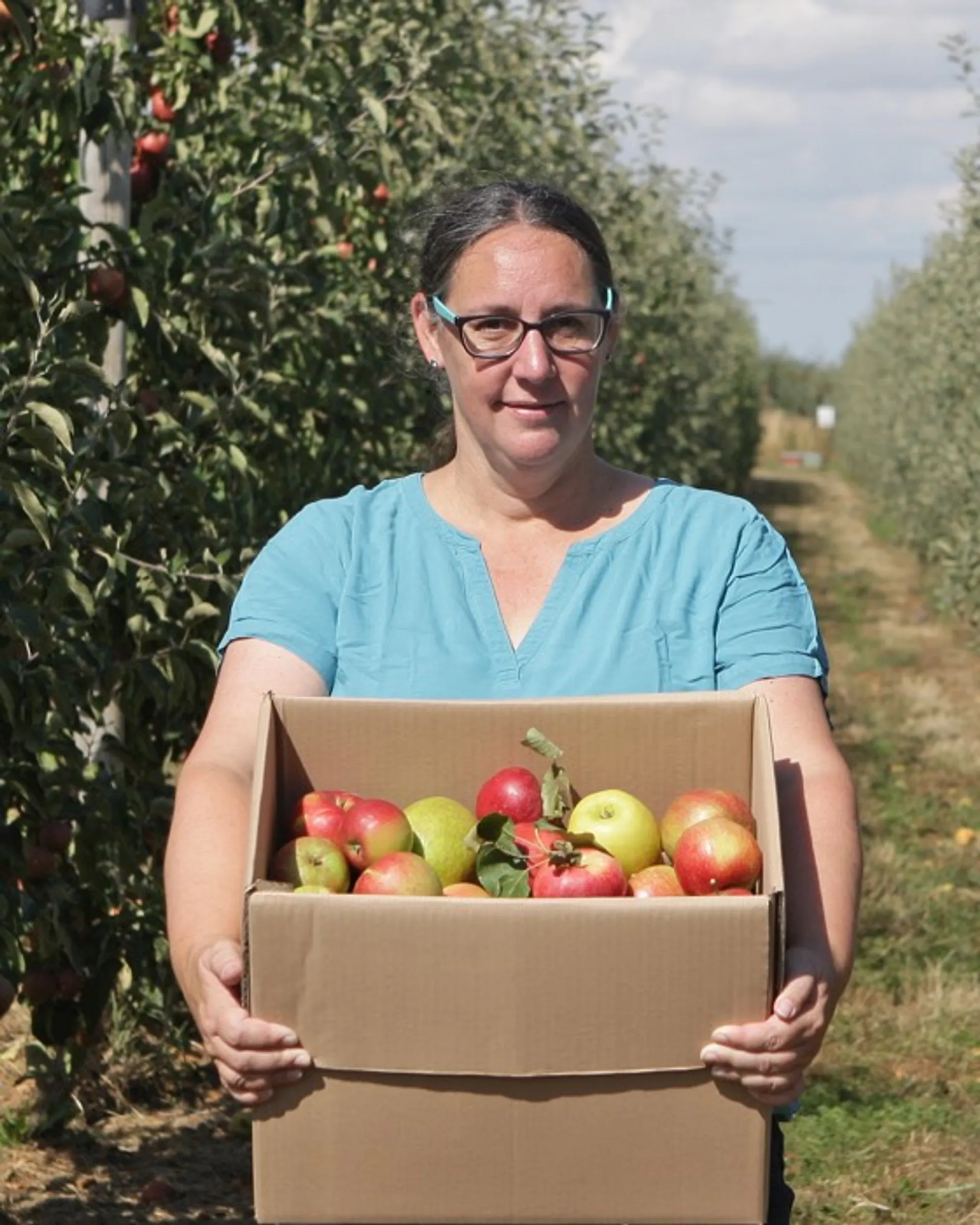 Buy Organic Crimson Apples 1Kg Online • AlPassoFood