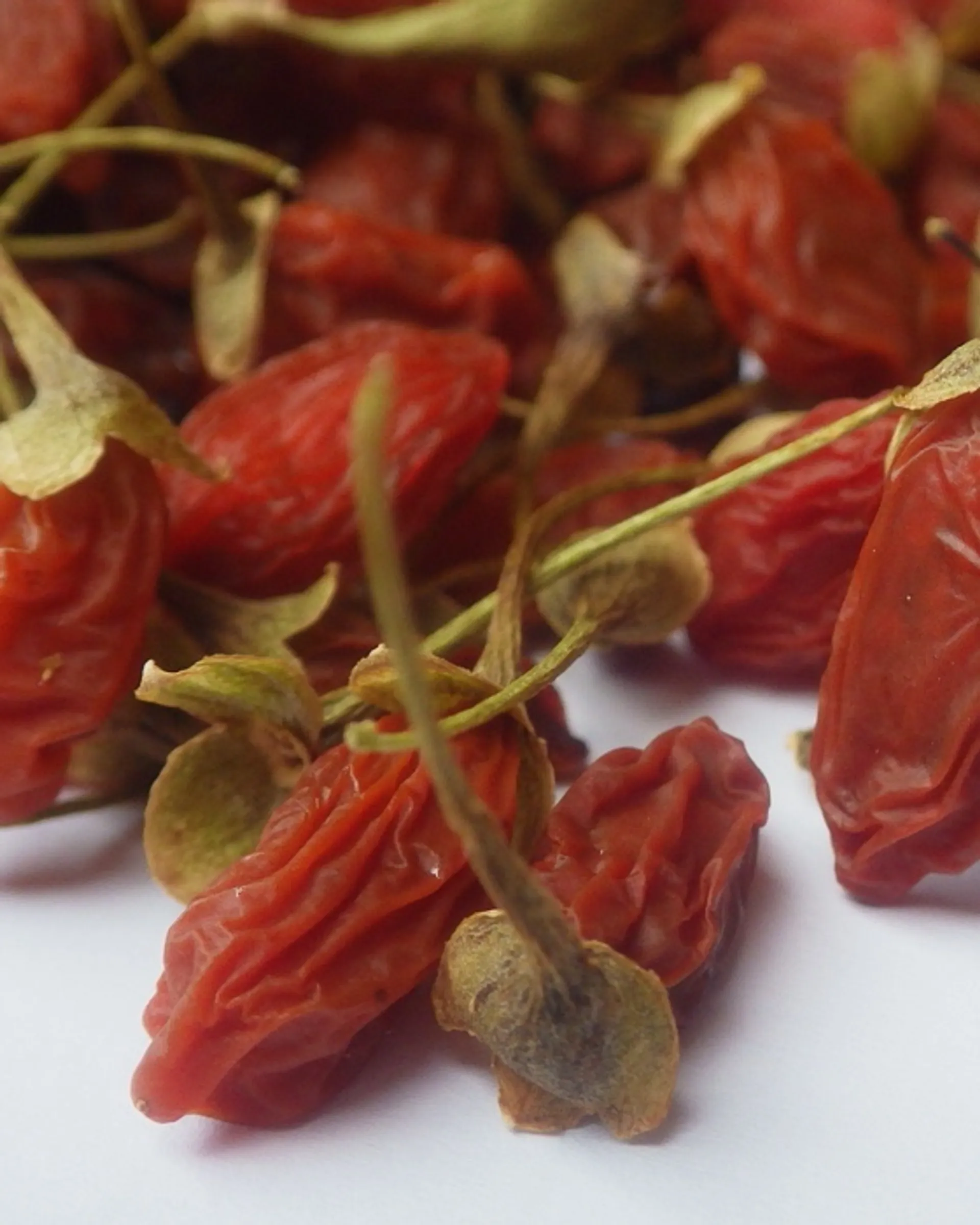 Dried organic Goji berries from Le Jardin de Brizé, France
