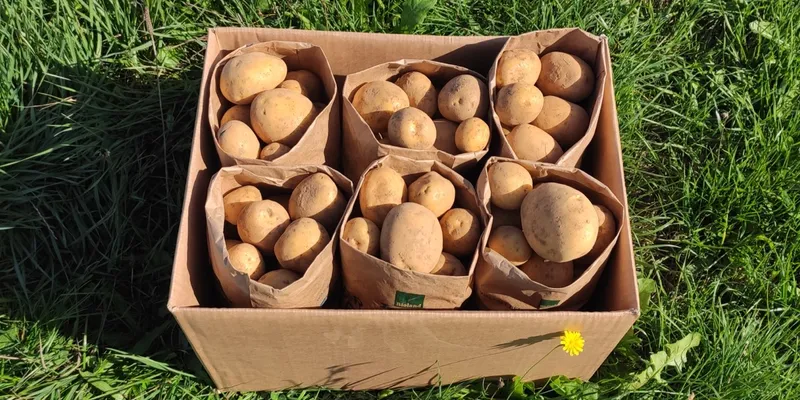 Kartoffelacker Bio-Kartoffeln Bioland einen Jockel, von Biohof adoptiere | Soraya Deutschland CrowdFarming: