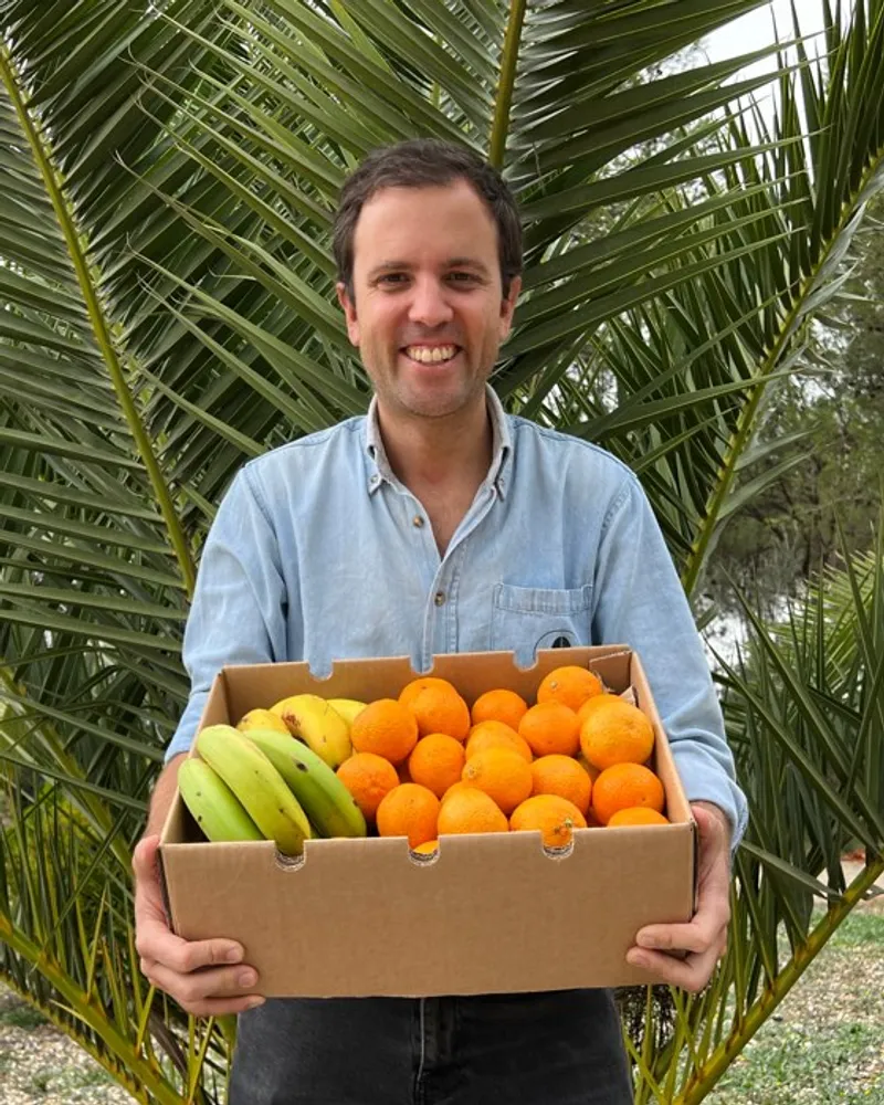 Clementinen und kanarische Bio-Bananen aus Spanien von Verger de Alicia ...