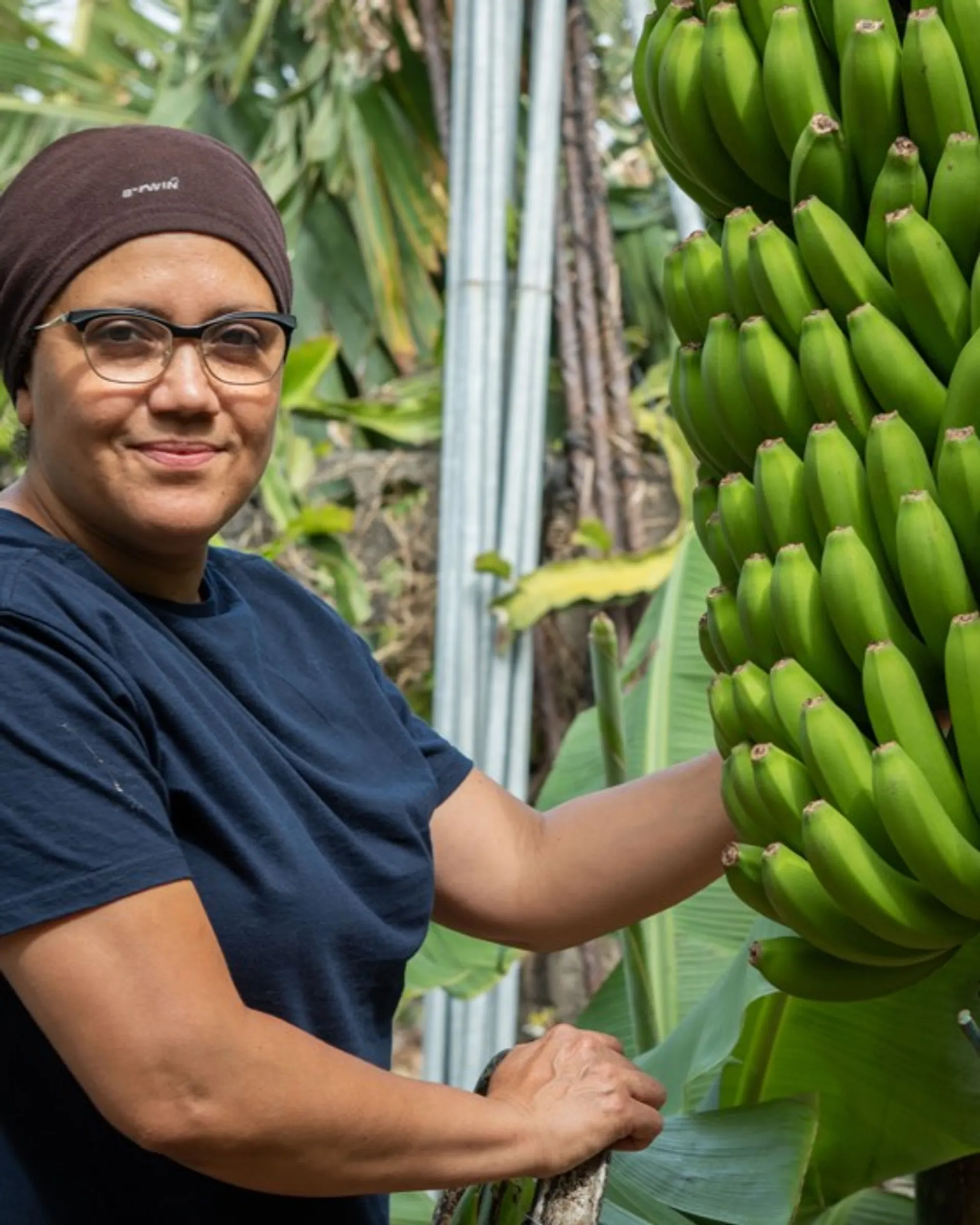 Clementinen und kanarische Bio-Bananen aus Spanien von Verger de Alicia ...