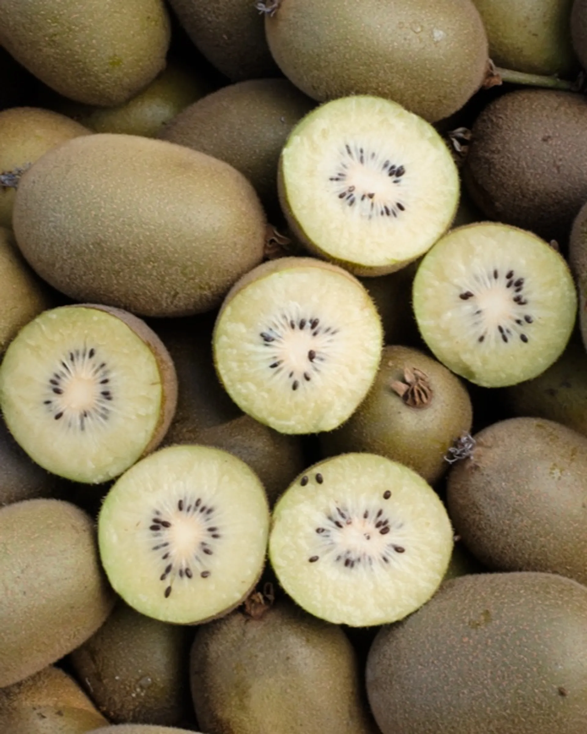 Gelbe BioKiwis von Cooperativa I Frutti del Sole, Italien