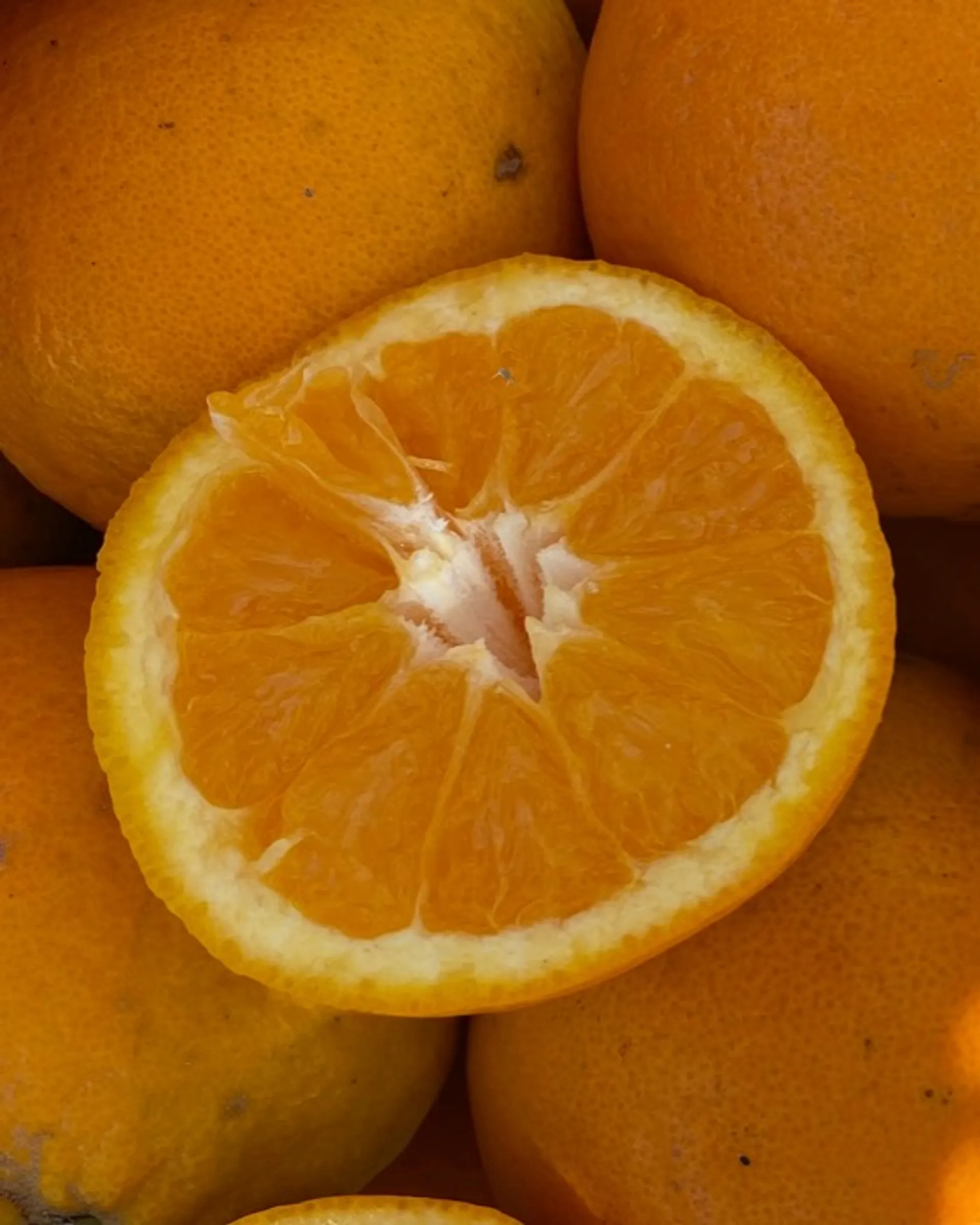 Bio-Orangen von Bio Agrumi Monasteri, Italien  CrowdFarming: Saisonales  Obst und Gemüse liefern lassen
