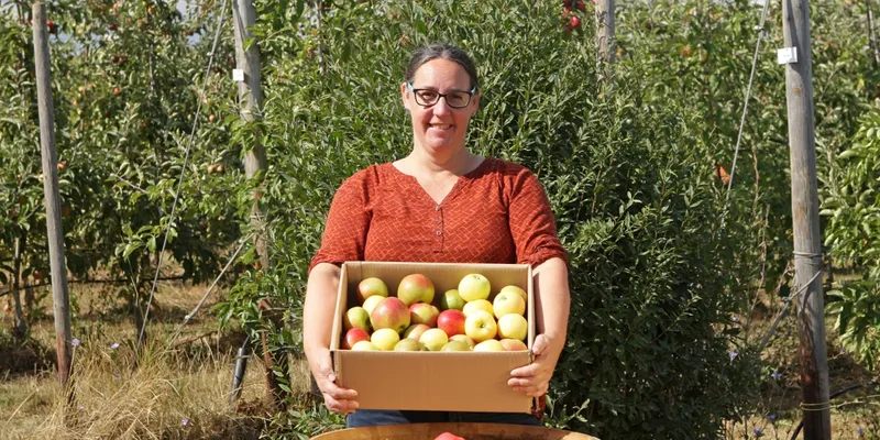 Bioland organic "Future" apples