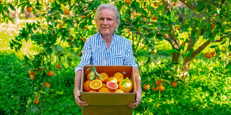 naranjas y pomelos Deméter ecológicos