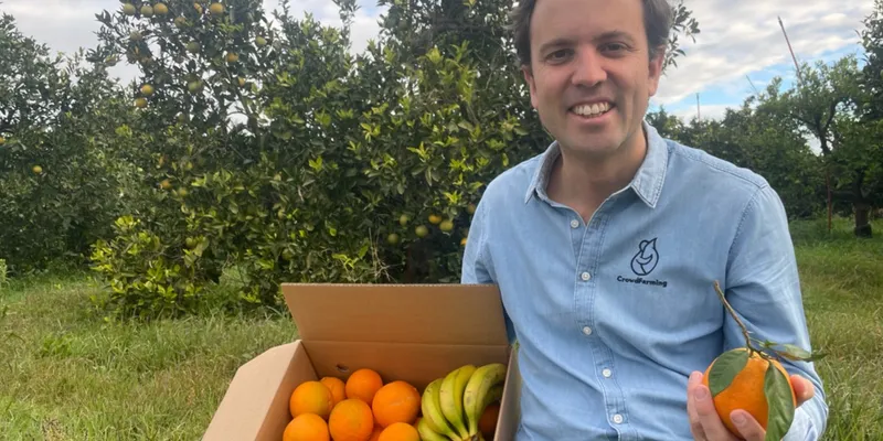 Orangen und kanarische Bio-Bananen aus Spanien
