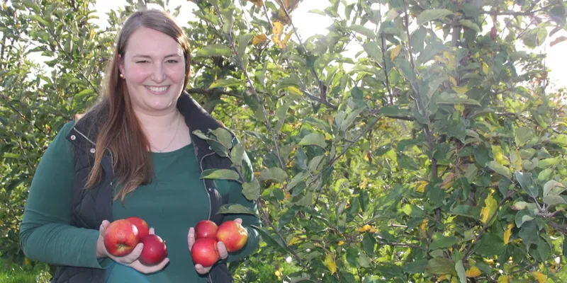 Bioland organic Elise apples